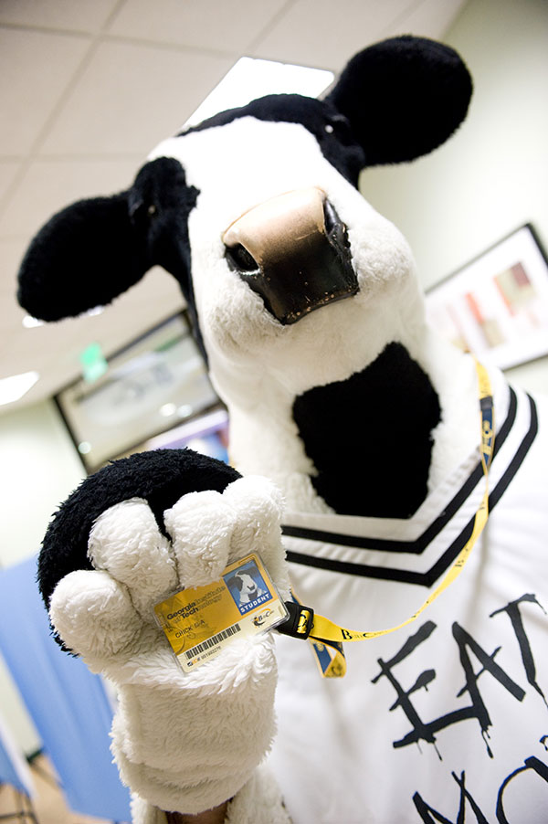 The Chick-Fil-A cow holding up a Georgia Tech Buzz Card with its picture on it