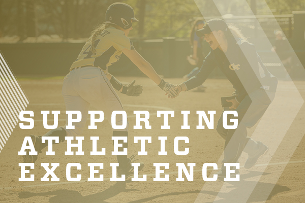 Supporting Athletic Excellence